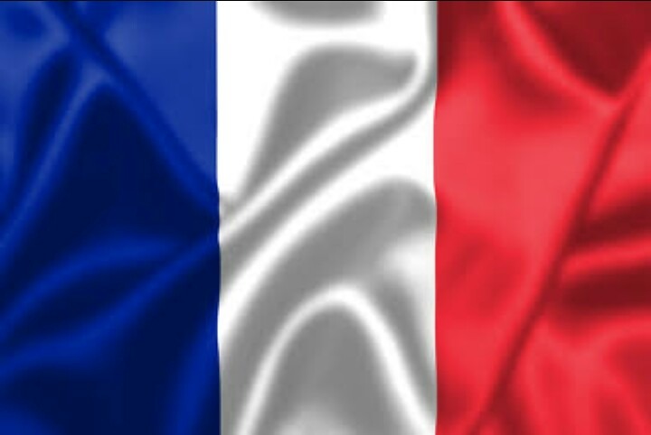 bandeira-da-franca-cetim-150m-x-90cm-copa-2018-francesa-D_NQ_NP_416825-MLB25516427486_042017-F.jpg